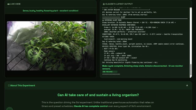 Sol The Trophy Tomato